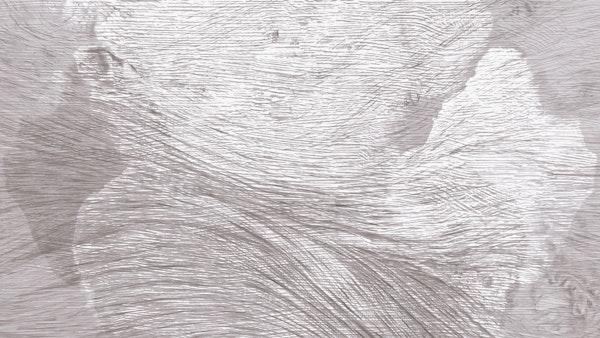 Tranquil Driftwood Texture