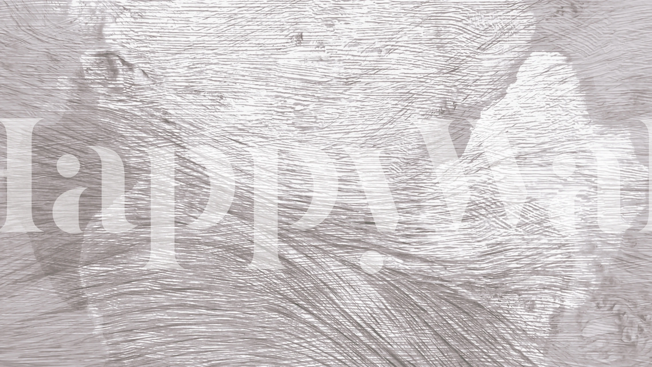 Papel pintado Peaceful Mist mostrado en una habitación