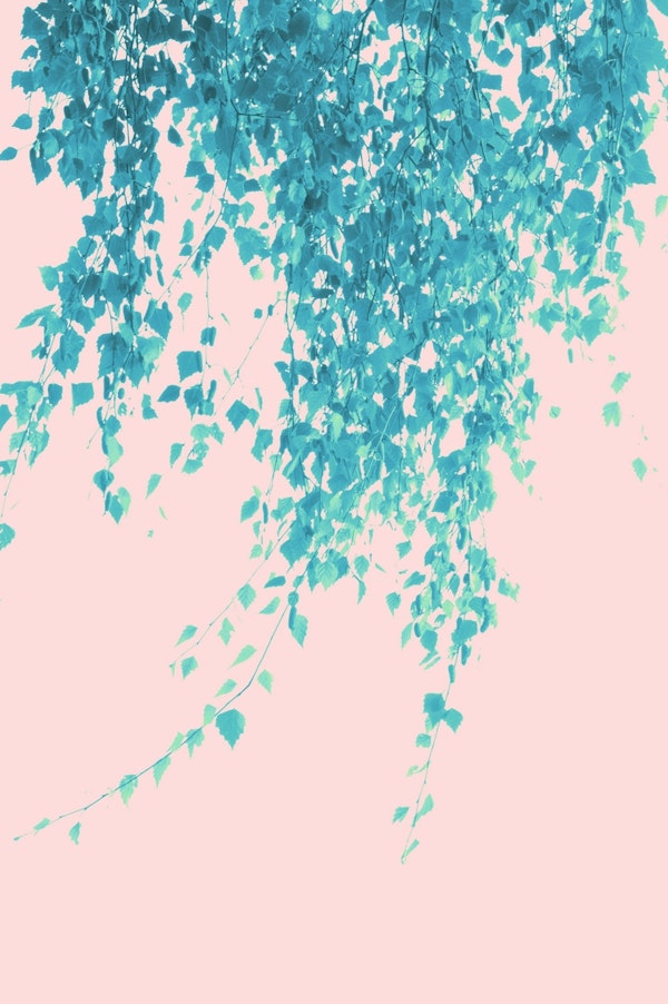 Turquoise Blush Leaves 1