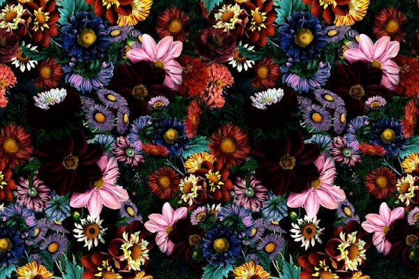 Mysterious Midnight Garden I