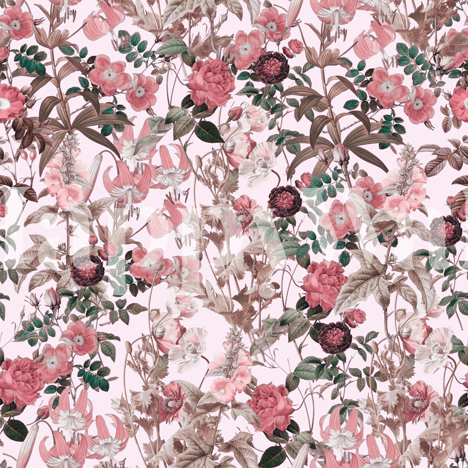 Pink Floral Wallpaper for Modern Decor