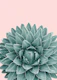 Blush Green Agave Chic 1