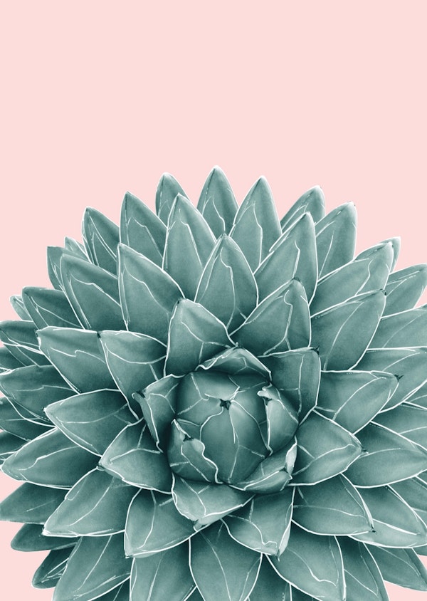 Blush Green Agave Chic 1