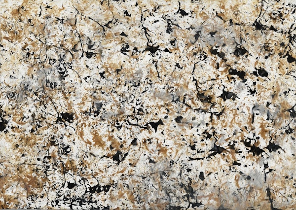 Pollock Wink 42