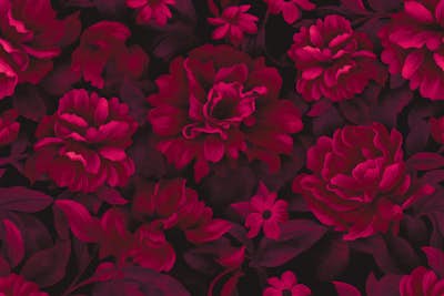 Τοιχογραφία