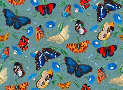 Pattern