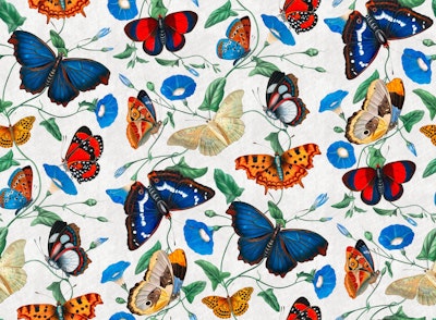 Pattern