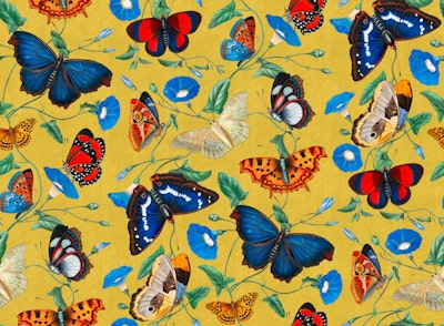 Pattern