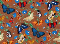 Papillonia - Morning Glory with Butterflies in sienna brown papiers peint