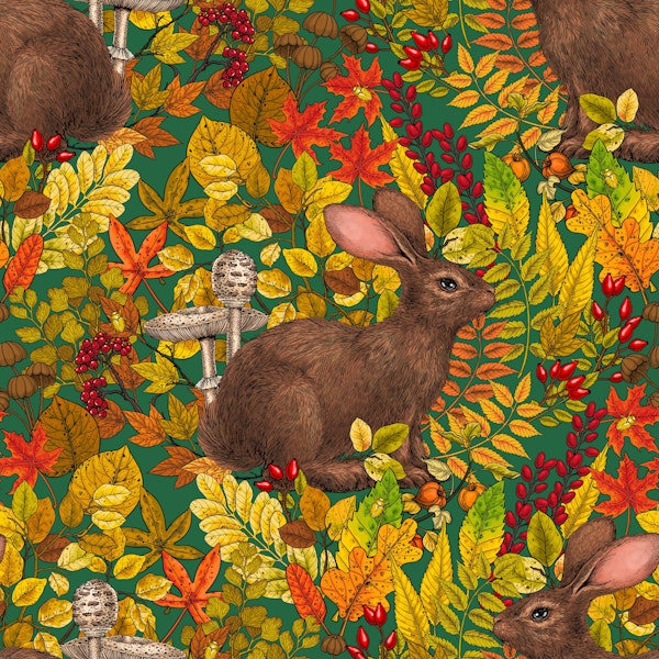 Autumn Rabbit on green