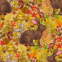Autumn Rabbit on honey tapet