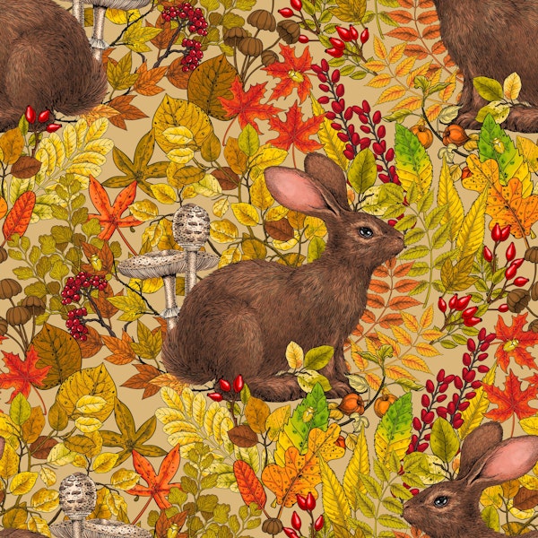 Autumn Rabbit on honey