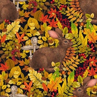 Autumn Rabbit on black papiers peint