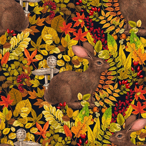 Autumn Rabbit on black