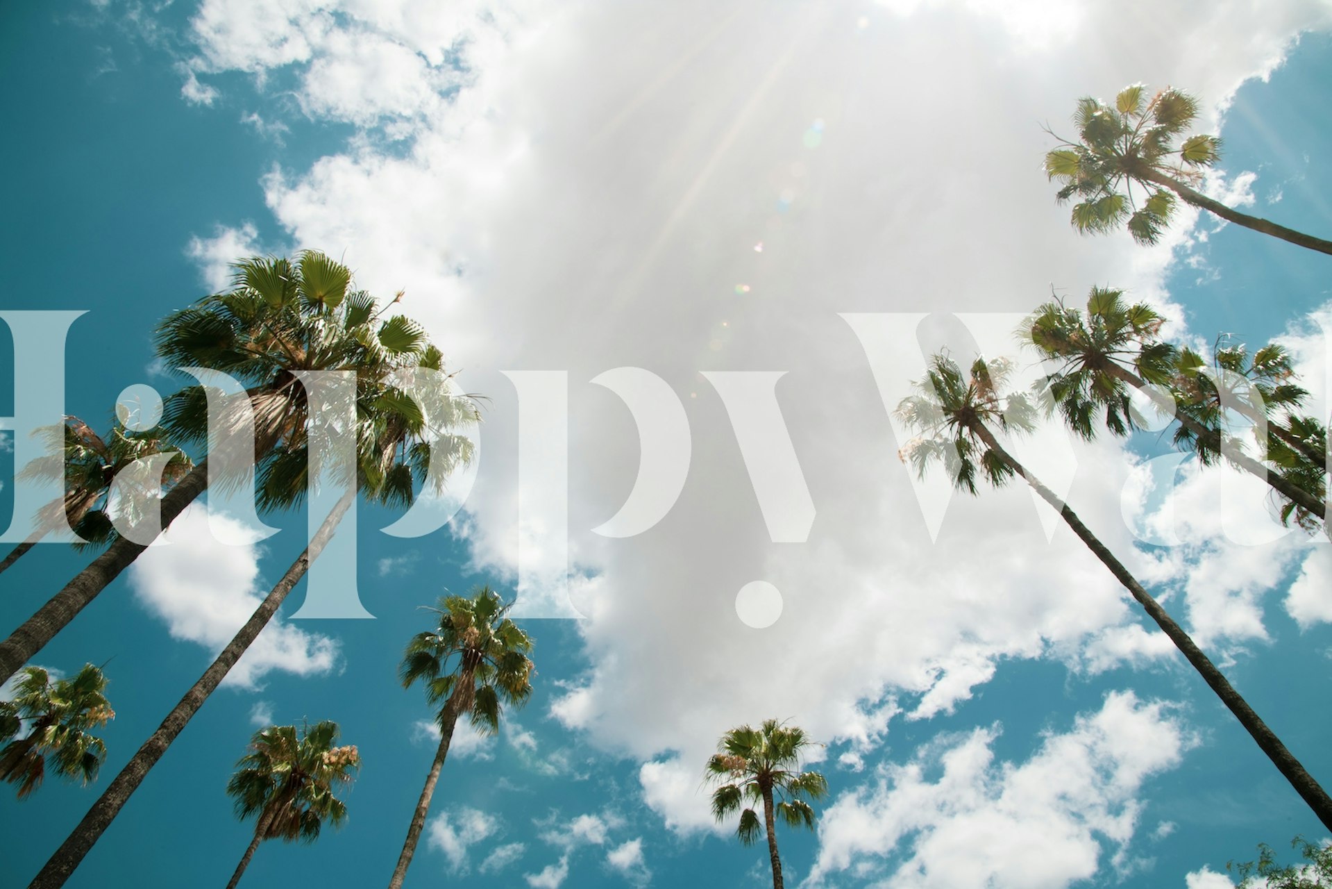 Alte palme che si estendono verso un murale con cielo azzurro limpido