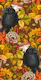 Autumn raven on brown