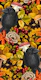 Autumn raven on black
