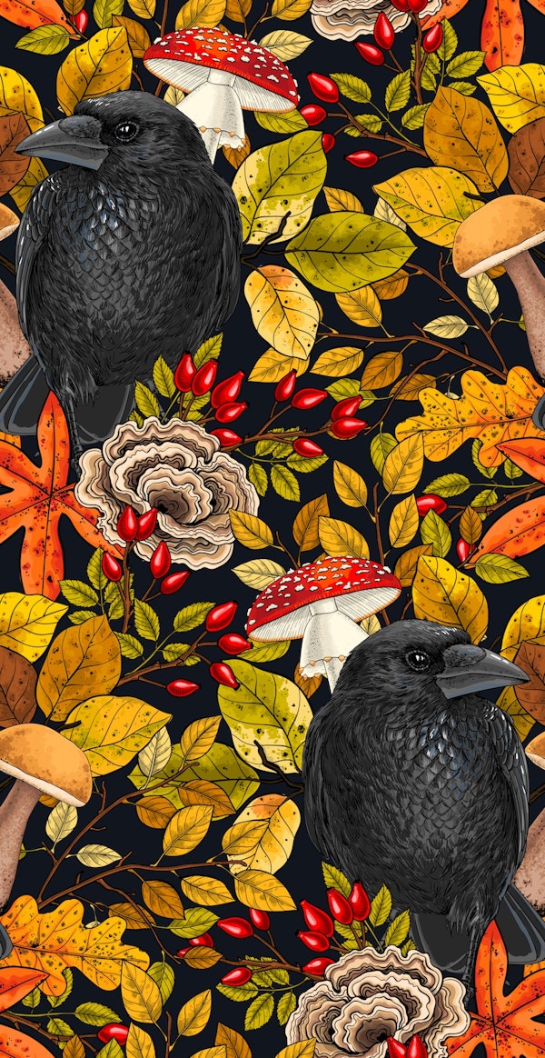 Autumn raven on black