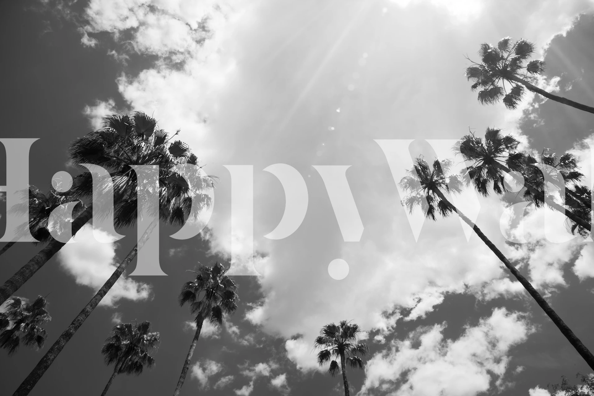 Under the Palm Trees tapet i ett rum