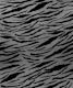 Tiger Animal Print Glam 4