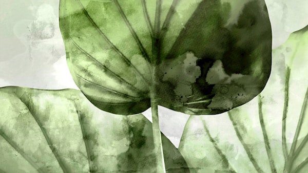Japandi Leaf Watercolor