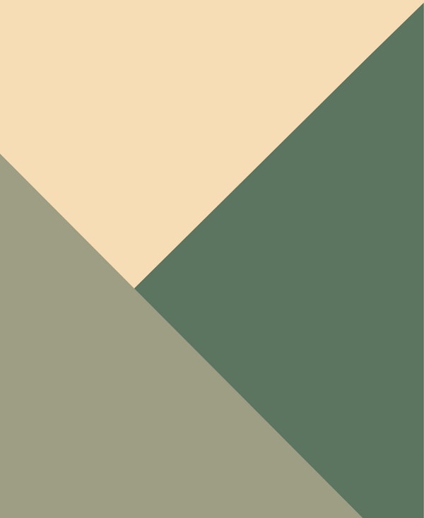 Tan meets Sage  Cactus Green 1