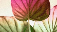 Japandi Leaf Magenta Green Ombre wallpaper