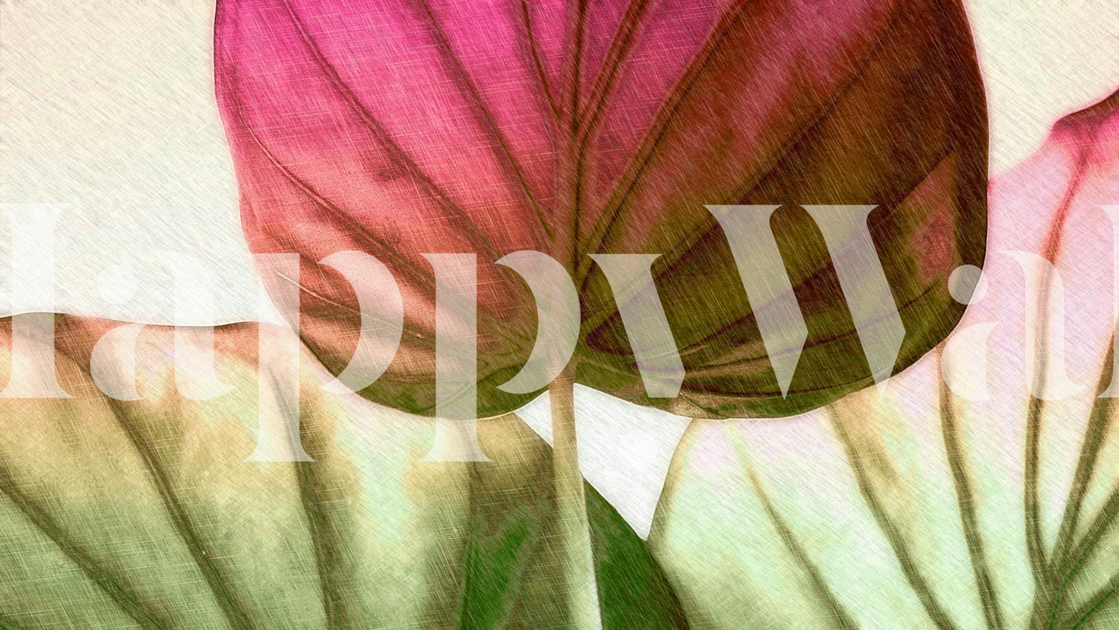 Fototapeta Japandi Leaf Magenta Green Ombre s detailním vzorem listů a barevným přechodem