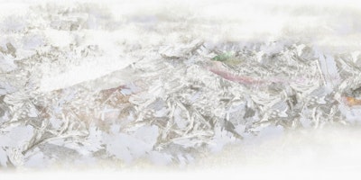 Murale