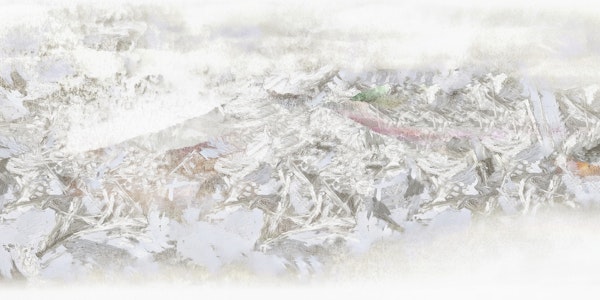 Scandinavian Neutrals Bliss