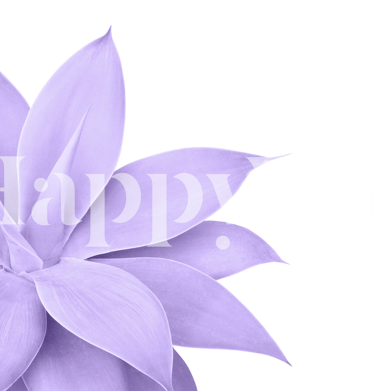 Agave Finesse 9 Ultra Violet tapeta u sobi