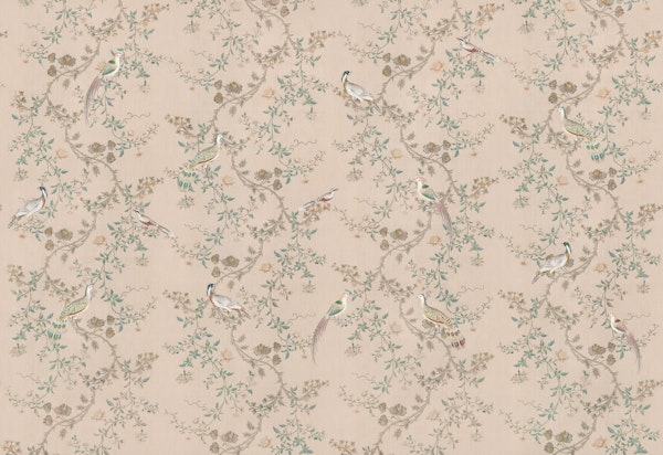 Vintage Chinoiseries Blush