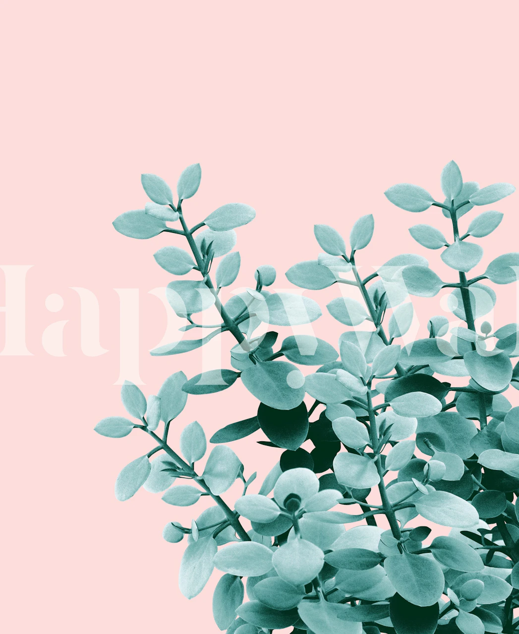 Eucalyptus leaves on a blush pink background wallpaper