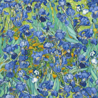 Van Gogh Irises Pattern tapet