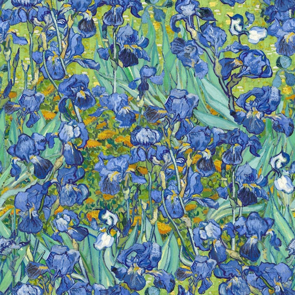 Van Gogh Irises Pattern