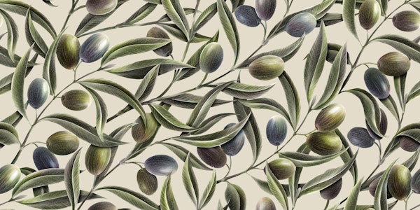 Olives and branches