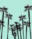 Tropical Palm Trees Dream 5
