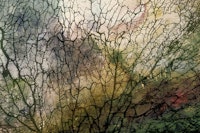 Earthy Japandi Moss wallpaper