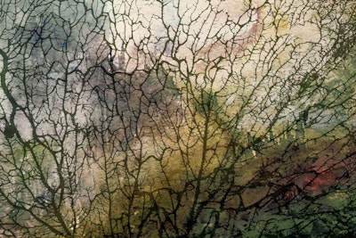 Mural
