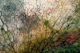 Earthy Japandi Moss