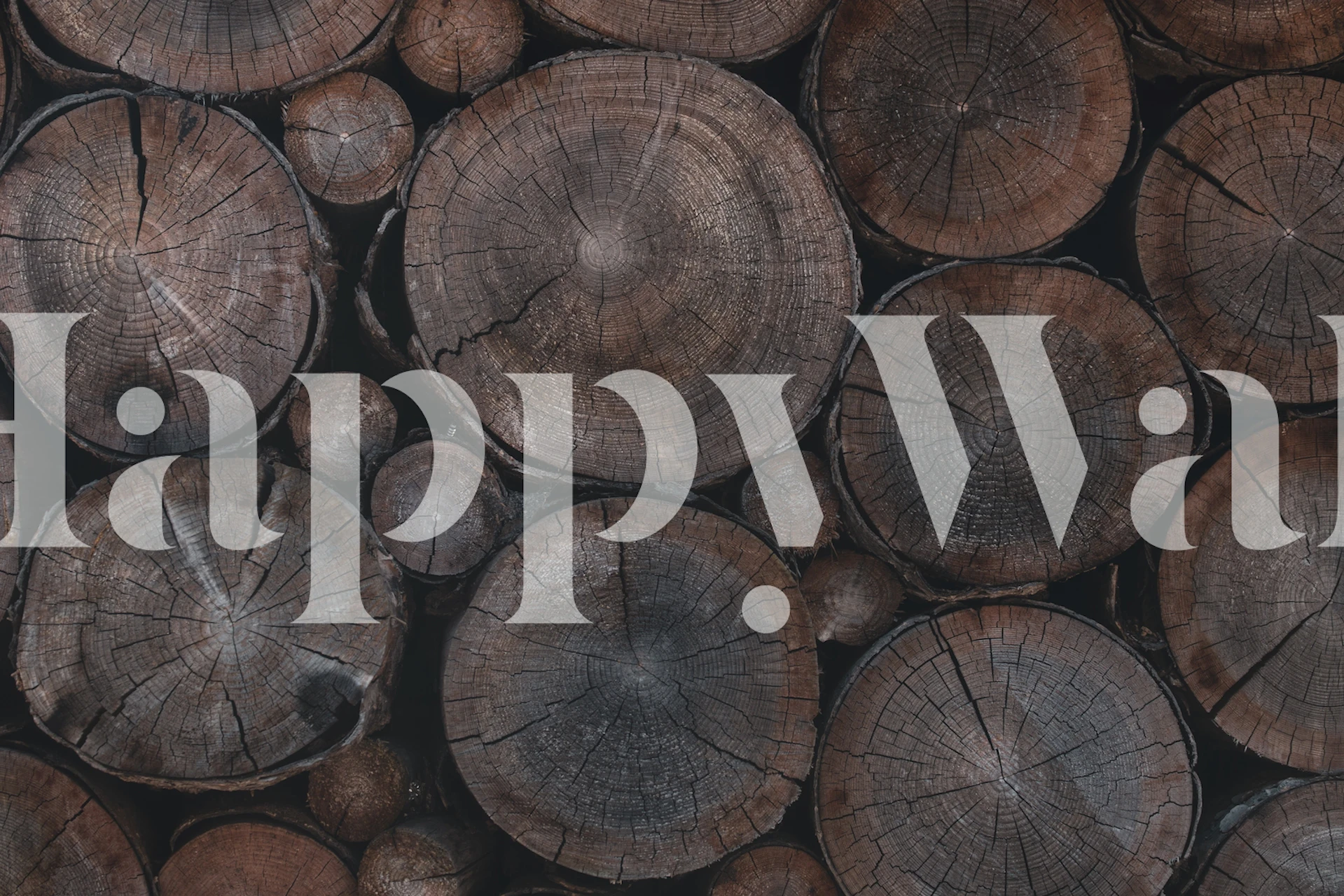 Rustic wood pattern with brown log slices wall mural