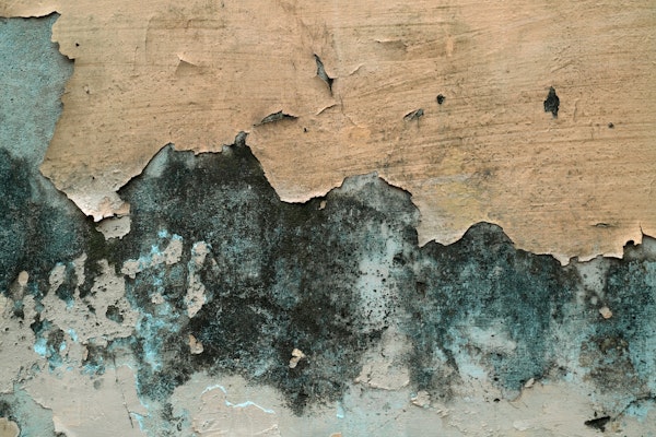 Vintage Italian Wall 1