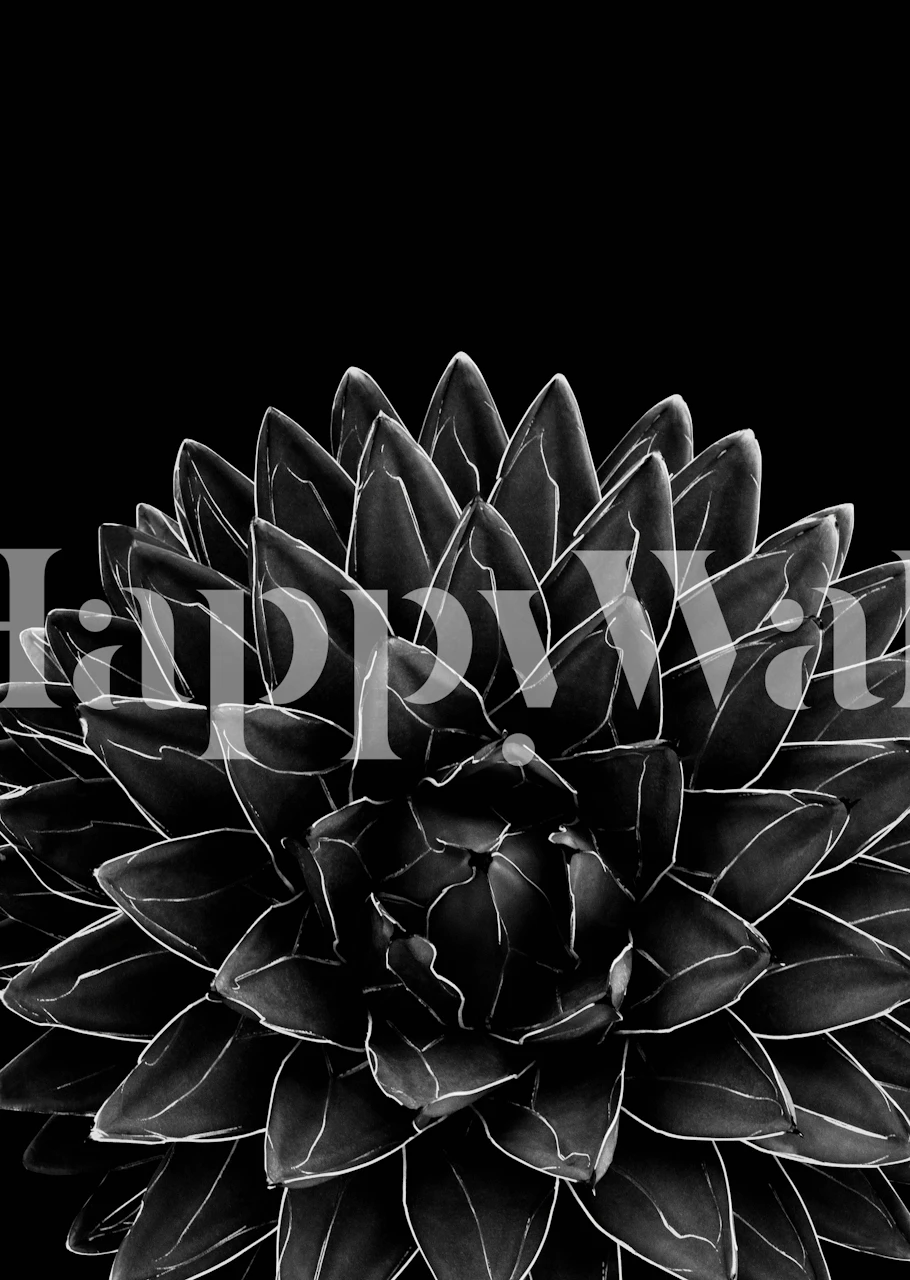 papier peint Black Agave Chic 1 dans une pièce