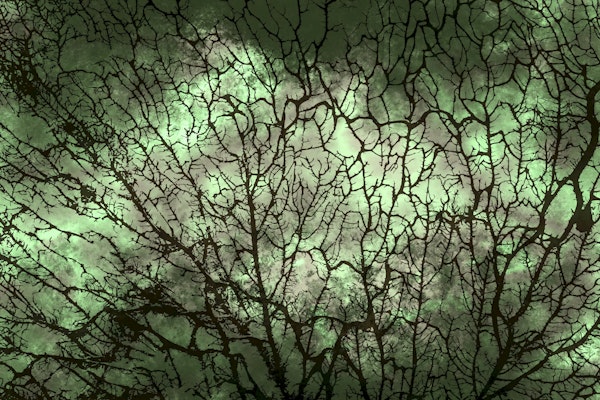 Emerald Japandi Moss