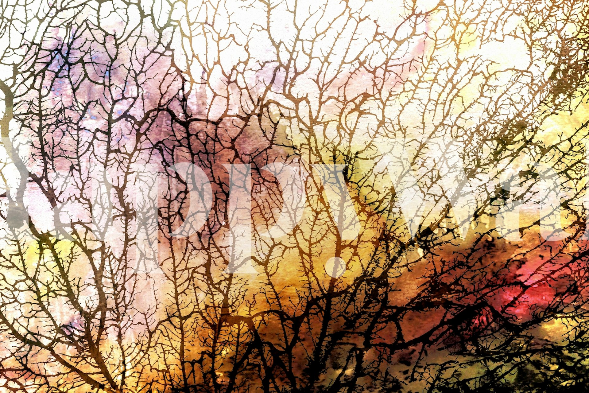 Sunny Japandi Moss wallpaper in a room