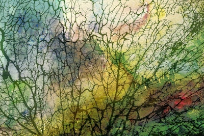 Mural