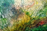 Japandi Summer Moss wallpaper