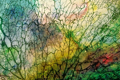Mural