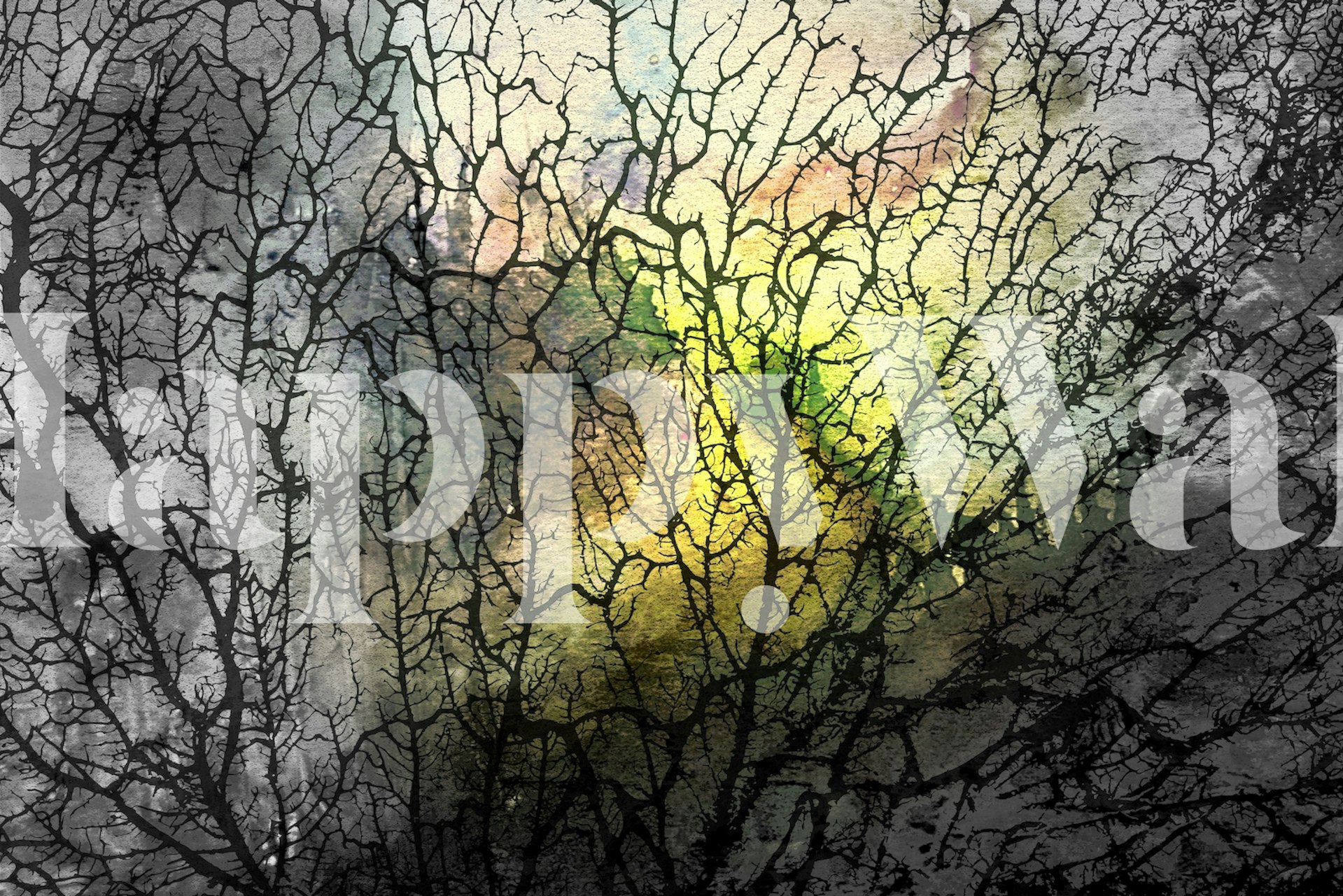 Ταπετσαρία Morning Sunrise εμφανίζεται σε ένα δωμάτιο