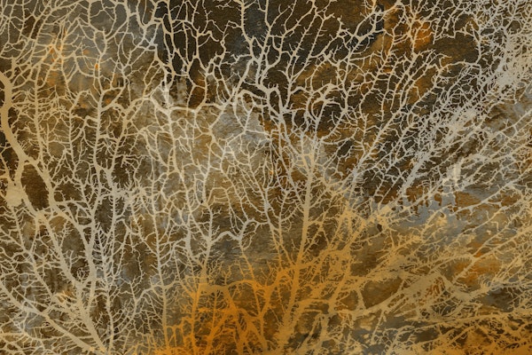 Warm Morning Japandi Moss